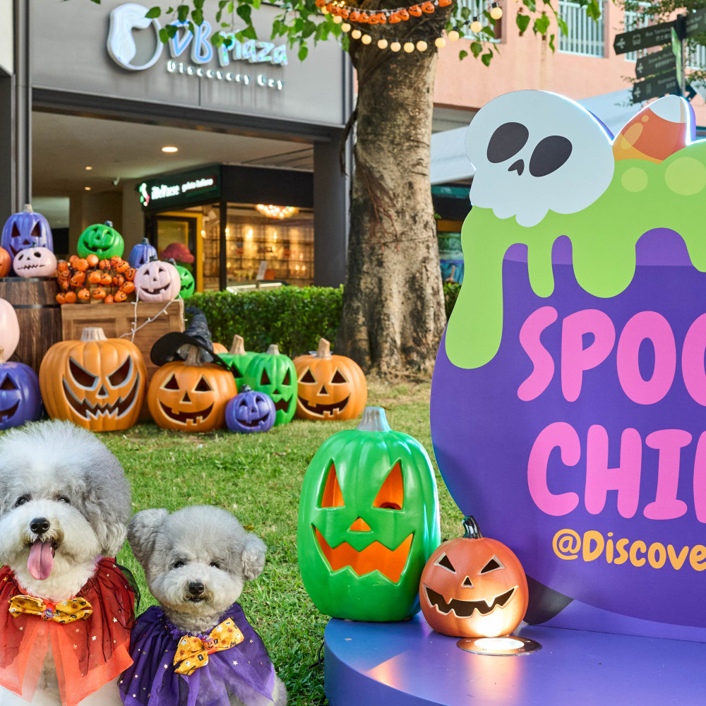 2b. Spooky Chills Photo Spots_DB Plaza Lawn with Pets.jpg